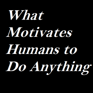 What Motivates Humans to Do Anything